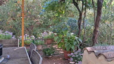 House in Aguas Vivas-Las Lomas-Alamín photo 6