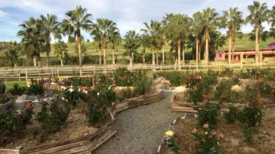 Rustic Finca in Coín photo 33