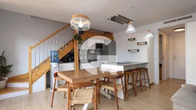 Duplex in Centre photo 2