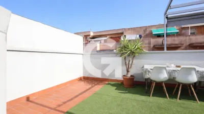 Duplex in Centre photo 7