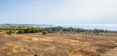 Piso – Torrevieja, Urbanización Rocío del Mar, Urbanización Punta Prima - Vista 5