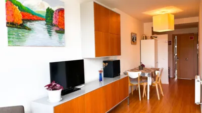 Apartment on Calle el Cabrizo photo 21