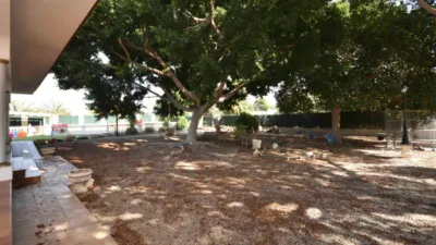 House in Orihuela photo 39