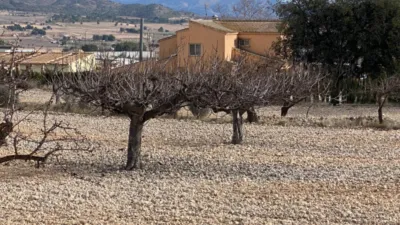 Rustic Finca in Salinas photo 3