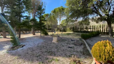 Rustic Finca in Salinas photo 54