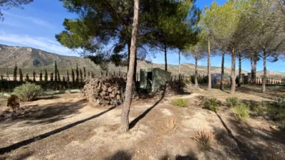 Rustic Finca in Salinas photo 58
