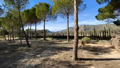 Rustic Finca in Salinas photo 59