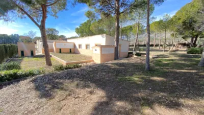 Rustic Finca in Salinas photo 62