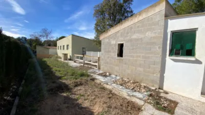 Rustic Finca in Salinas photo 65