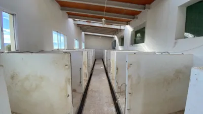 Rustic Finca in Salinas photo 66