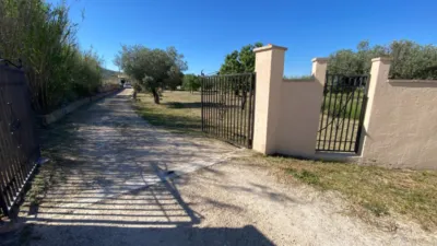Rustic finca in Sax photo 11