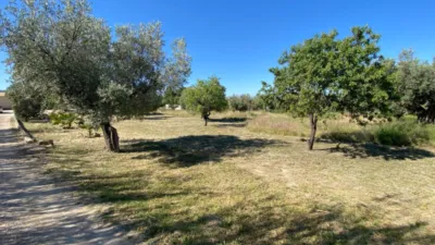 Rustic finca in Sax photo 12