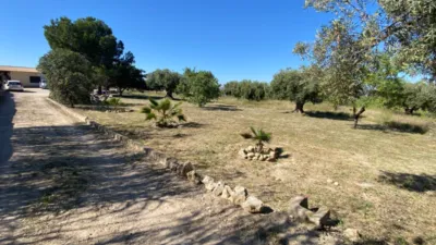 Rustic finca in Sax photo 13