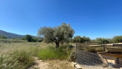Rustic finca in Sax photo 16