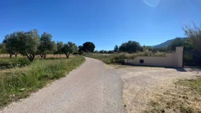 Rustic finca in Sax photo 10