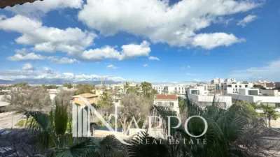 Ático en alquiler en Carrer Illa de Xipre, El Coll d'en Rabassa (Distrito Platja de Palma. Palma de Mallorca) de 3.500 €<span>/mes</span>