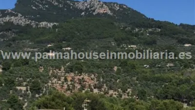 Apartment in Felanitx photo 28