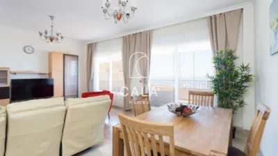 Duplex on Calle del Lajial photo 11