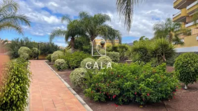 Duplex on Calle del Lajial photo 35