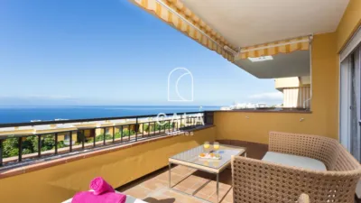 Duplex on Calle del Lajial photo 4