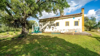 Rustic finca on Calle Lg Viñas 137 Polígono 19 photo 7