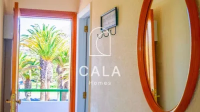 Apartment on Avenida Juan Carlos I photo 11