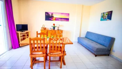Apartment on Avenida Juan Carlos I photo 4
