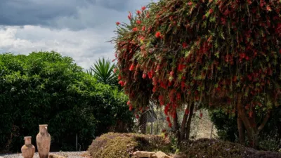 Rustic Finca in Álora photo 15