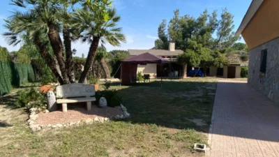 Villa in Petrer photo 53