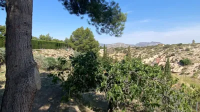 Villa in Petrer photo 57