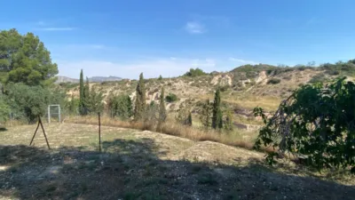Villa in Petrer photo 58