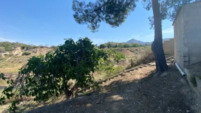Villa in Petrer photo 59