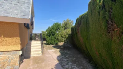 Villa in Petrer photo 62
