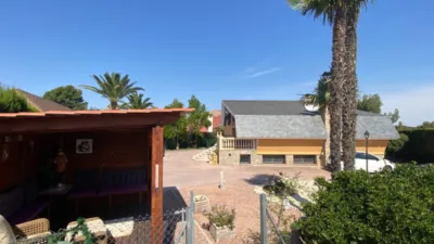 Villa in Petrer photo 69