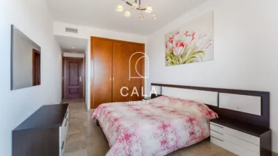 Apartment on Calle Alcalde Juan Garcia Dorta photo 10