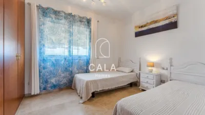 Apartment on Calle Alcalde Juan Garcia Dorta photo 11