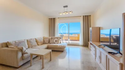 Apartment on Calle Alcalde Juan Garcia Dorta photo 4