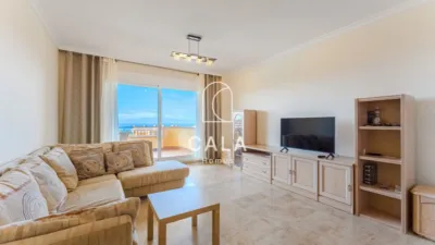 Apartment on Calle Alcalde Juan Garcia Dorta photo 5