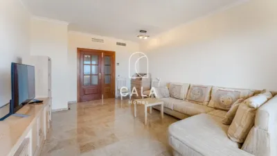 Apartment on Calle Alcalde Juan Garcia Dorta photo 6