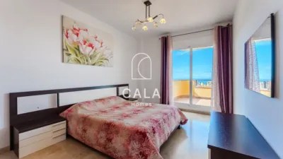 Apartment on Calle Alcalde Juan Garcia Dorta photo 9