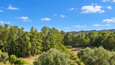 House in La Cala Golf-Lagar Martell photo 29