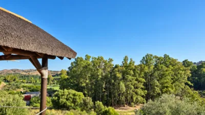 House in La Cala Golf-Lagar Martell photo 30