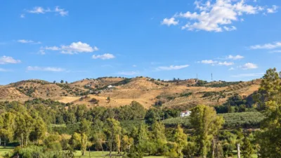 House in La Cala Golf-Lagar Martell photo 5