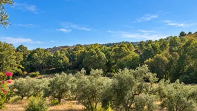 House in La Cala Golf-Lagar Martell photo 9