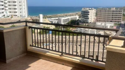 Pis – Elx - Elche - Vista 2