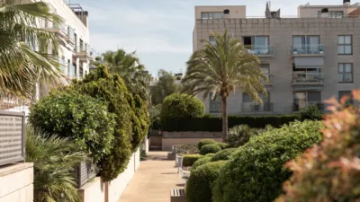Penthouse in Son Rapinya-Los Almendros photo 31