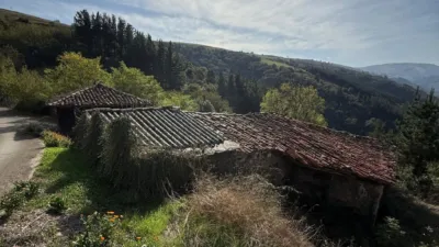 House on Calle Lg San Pedru Culiema, No. 11 photo 12