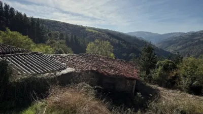 House on Calle Lg San Pedru Culiema, No. 11 photo 5