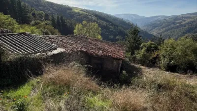 House on Calle Lg San Pedru Culiema, No. 11 photo 6
