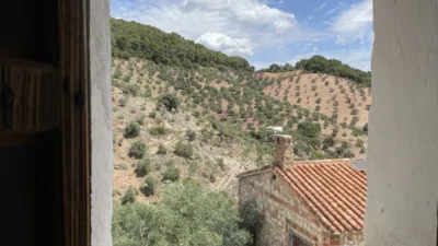 House in El Burgo photo 28